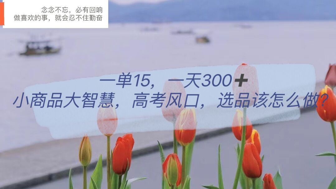 一单15，一天300+，小商品大智慧，高考风口，选品该怎么布局-九节课