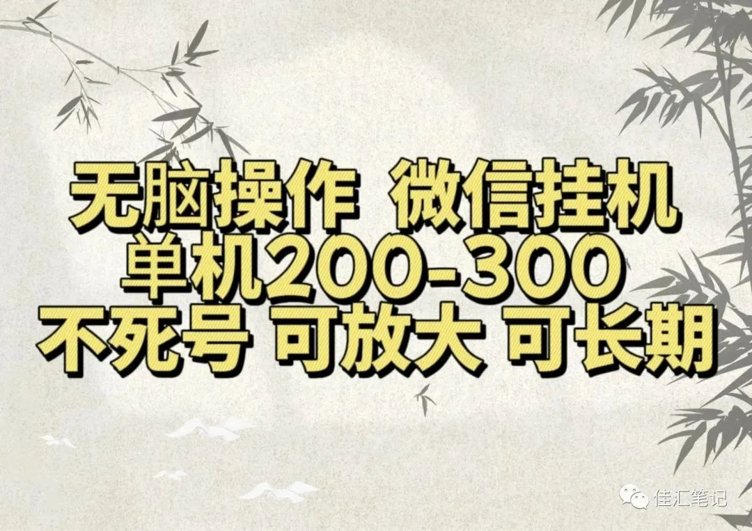 无脑操作微信视频号挂机单机200-300一天，不死号，可放大，工作室实测-九节课