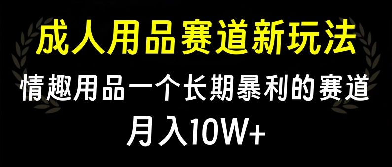 大人用品赛道新玩法,情趣用品一个长期暴利的赛道,月入10W+-九节课