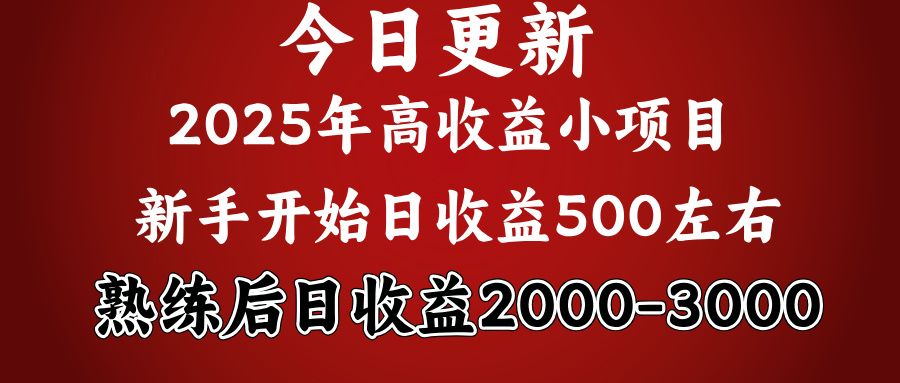 2025开年好项目，新手日收益500+ 熟练掌握后，日收益平均2000多-九节课