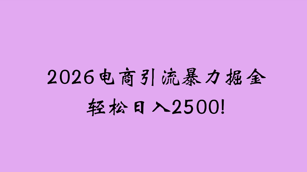 2026电商引流新玩法，日引200，日可入2500+-九节课