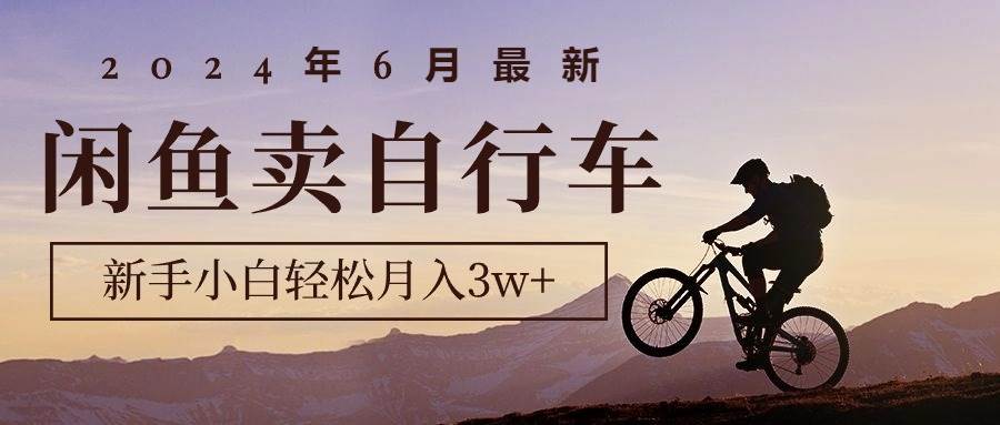 2024年6月最新闲鱼卖自行车，新手小白轻松月入3w+项目-九节课